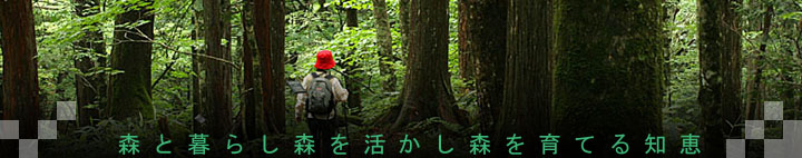 森林はCO2の吸収源・森の健康診断
